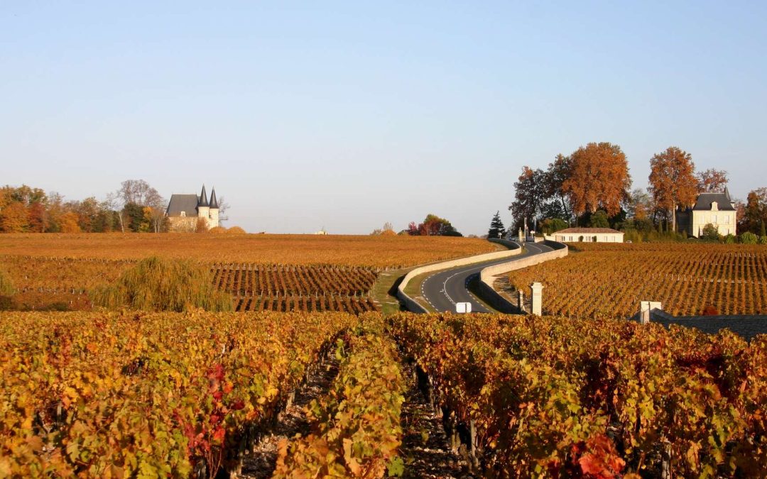 Wine Tour Médoc avec TAXI WINE TOUR